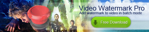 Download Video Watermark Pro