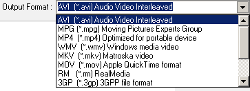 video formats