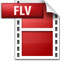 FLV Format