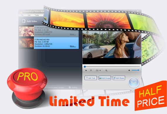 Video Watermark Pro Half Price